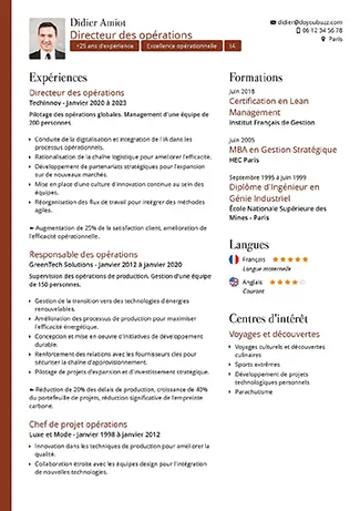 Modèle d'un CV professionnel et élégant