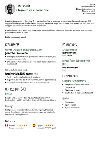 Modèle d’un CV sobre et professionnel