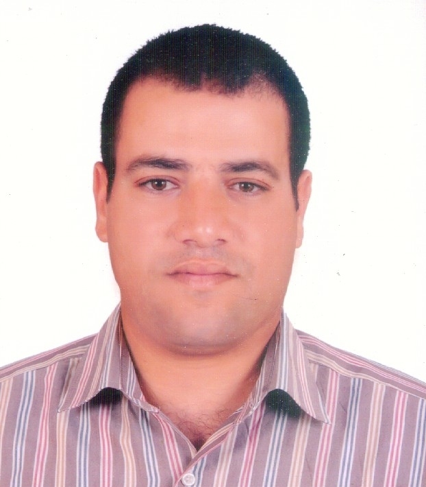 Ali Elnaggar